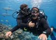 Guide to SSI Stress Rescue for Safer Diving