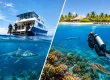 Liveaboard Versus Resort Diving: Which Fits?