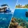 Liveaboard Versus Resort Diving: Which Fits?