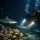 Night Diving Experiences in Fiji: What Changes?