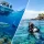 Boat Diving Versus Shore Diving: Which Fits You?