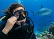 Can Divers Wear Contact Lenses on a Dive?