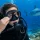 Can Divers Wear Contact Lenses on a Dive?
