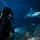 How to Prepare for Night Dives With Confidence