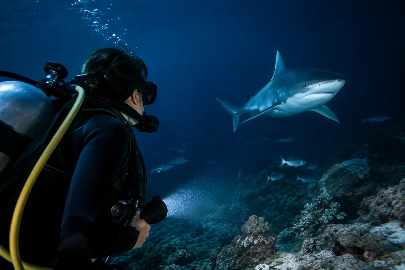 How to Prepare for Night Dives With Confidence