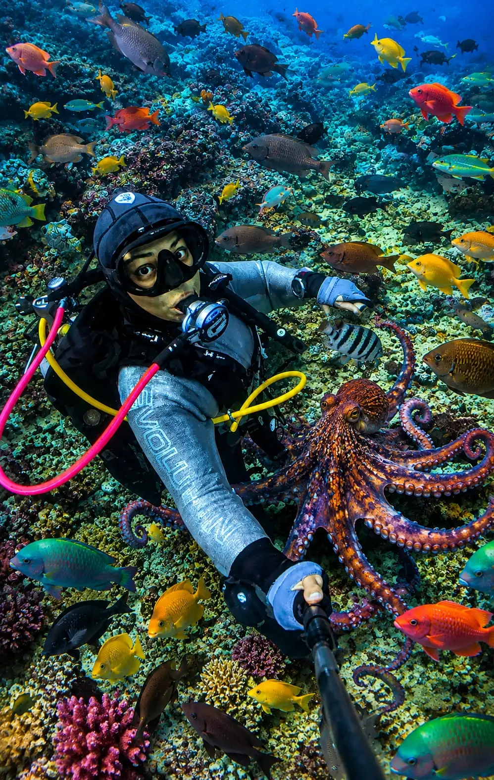 Mayra diving over a colourful reef with an octopus