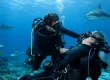 SSI Diver Stress Rescue Guide for Calm Action