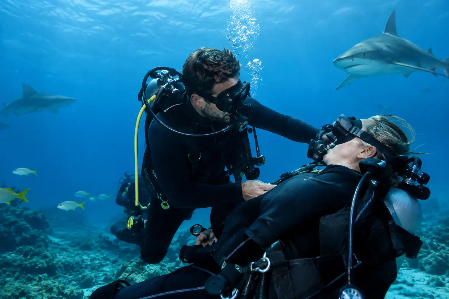 SSI Diver Stress Rescue Guide for Calm Action SSI Diver Stress Rescue Guide for Calm Action