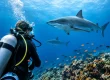 Which SSI or PADI Specialties Are Right for You?